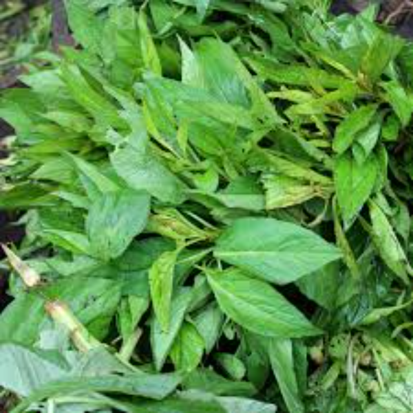 Shoko leaves (100g)