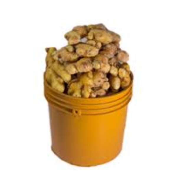 Ginger (1 bucket)