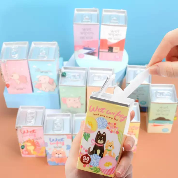 Fancy and Elegent carry-on Wipes