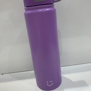 Solid color stainless steel bottle with handle With handle and straw lid