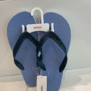 Future discovery men’s flip flop (blue)