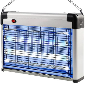 Eurosonic mosquito camp