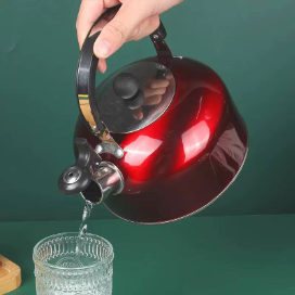 Stainless Steel Whistling Kettle 3Ltrs Large Capacity