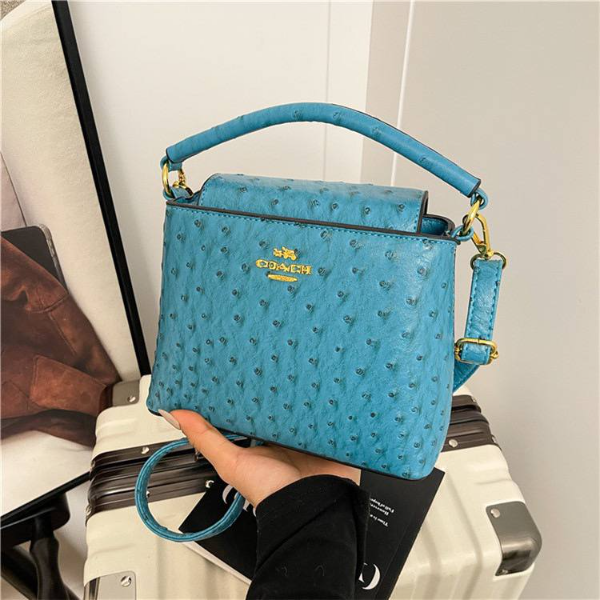 Coach Ladybug Small Town Bucket Bag